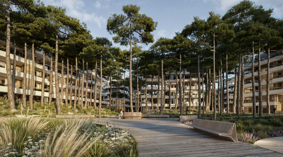 Loom Forest Village · vista 12