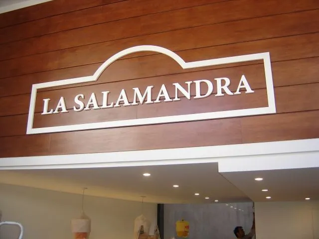 La Salamandra · vista 2