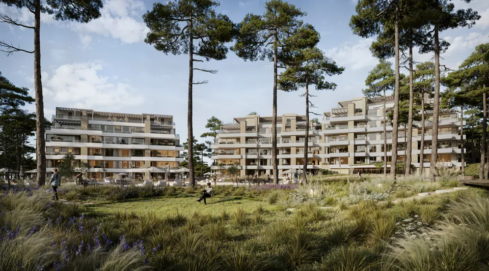 Loom Forest Village · vista 8